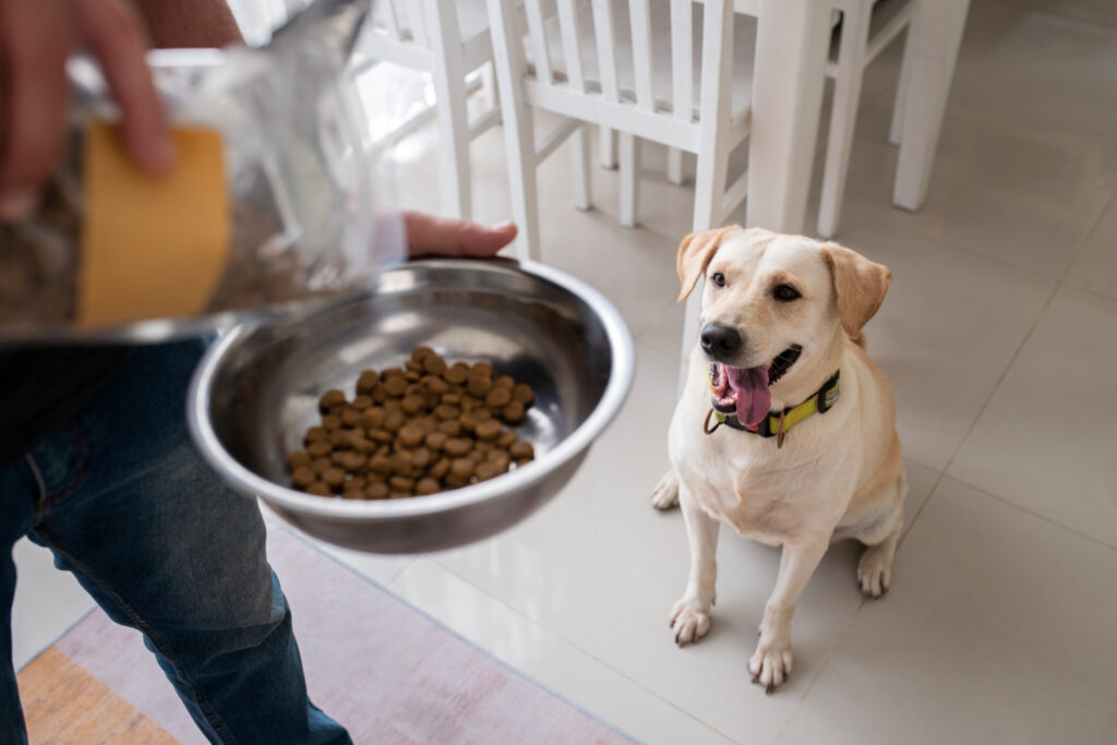dry dog food for food allergies