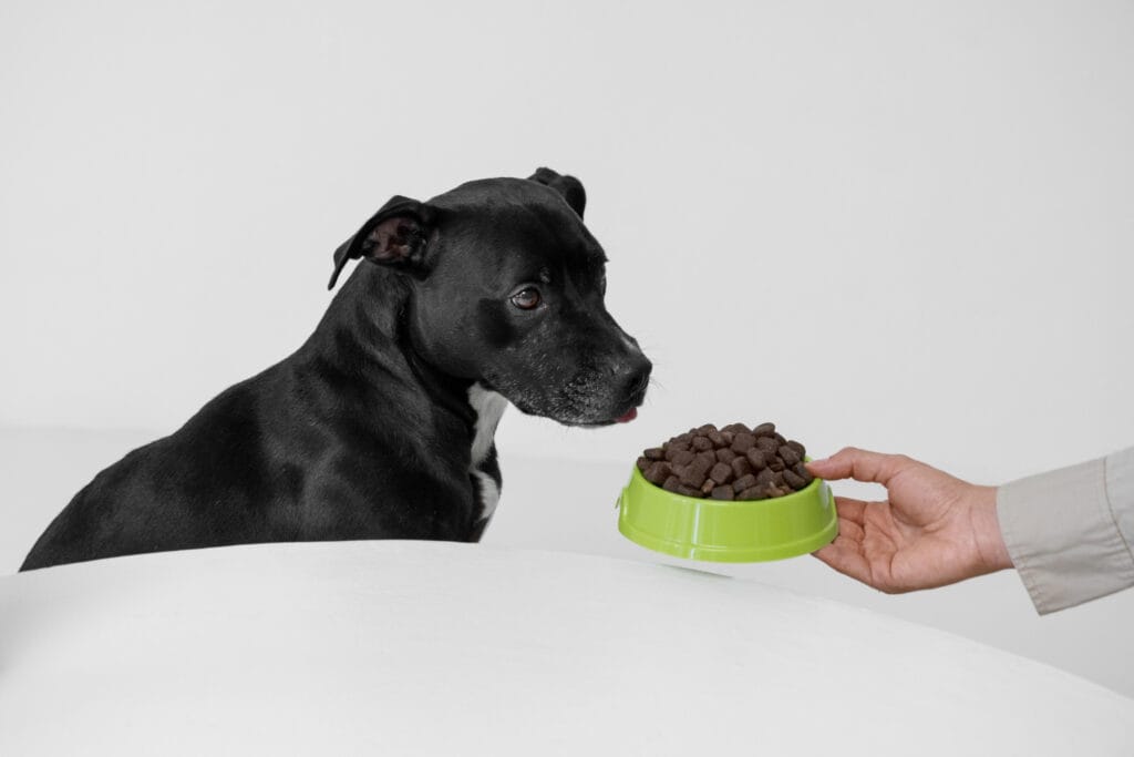 dry dog food for food allergies